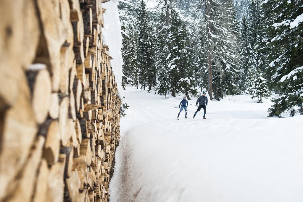 stoanmandl Wohlfühlappartements Neustift im Stubaital Exterior foto