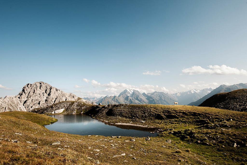 stoanmandl Wohlfühlappartements Neustift im Stubaital Exterior foto